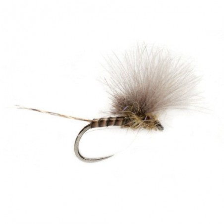 McPhail CdC Olive Quill