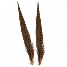 Natural Pheasant Feather JMC
