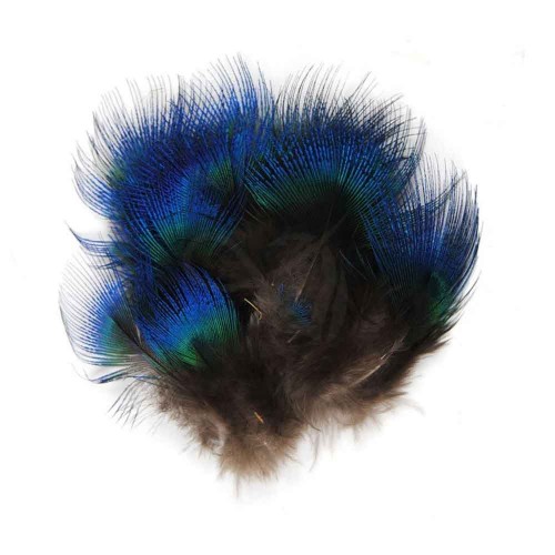 Peacock Feathers blue