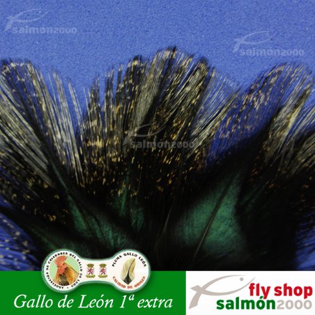Pluma Gallo de León - Tienda pesca online