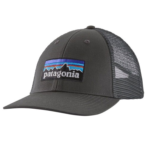 P-6 Logo Lopro Patagonia Trucker Hat FGE