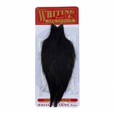 Whiting Hen Cape Black