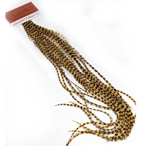 Whiting 100 pk grizzy dyed golden straw