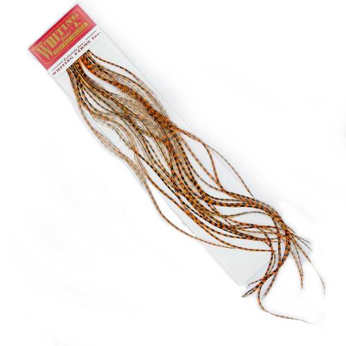 Whiting 100 pk grizzly dyed burnt orange