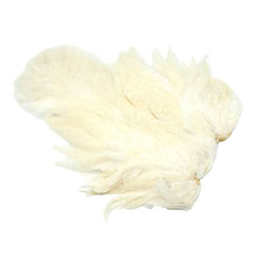 Whiting Rooster SH/C white