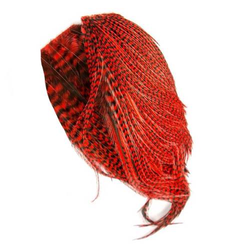 Whiting Bugger pack grizzly dyed red