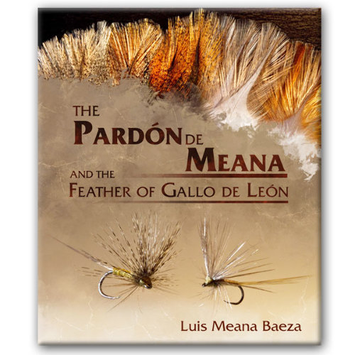 The “Pardón de Meana and the Feather of Gallo de León