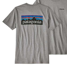 Camiseta Patagonia gris