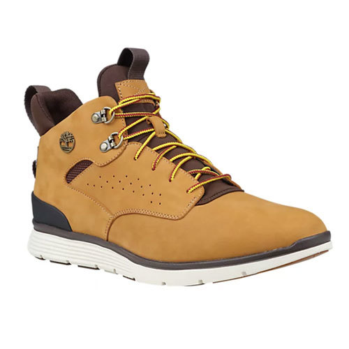 protesta Contorno Mm Zapatillas Timberland