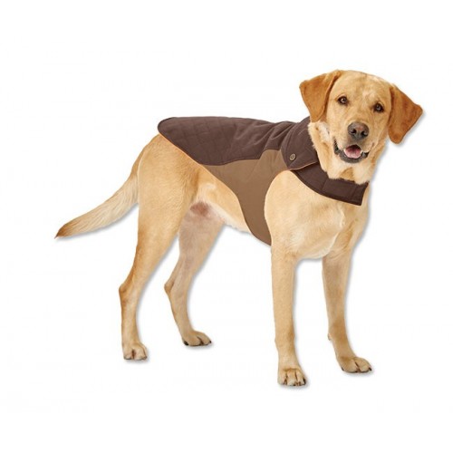 dog jacket