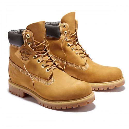 Botas Timberland 6 inch Premium