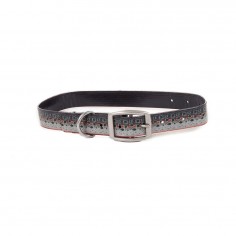 Salty Dog Collar